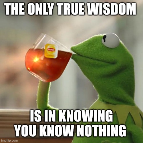 Knowing what you know | THE ONLY TRUE WISDOM; IS IN KNOWING YOU KNOW NOTHING | image tagged in memes,but that's none of my business,kermit the frog,funny memes | made w/ Imgflip meme maker