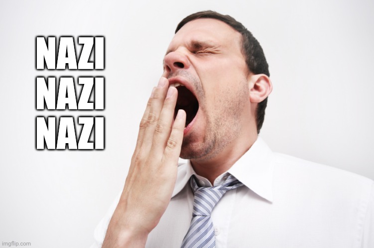 yawn | NAZI
NAZI
NAZI | image tagged in yawn | made w/ Imgflip meme maker