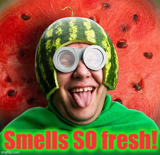 Smells SO fresh! | made w/ Imgflip meme maker
