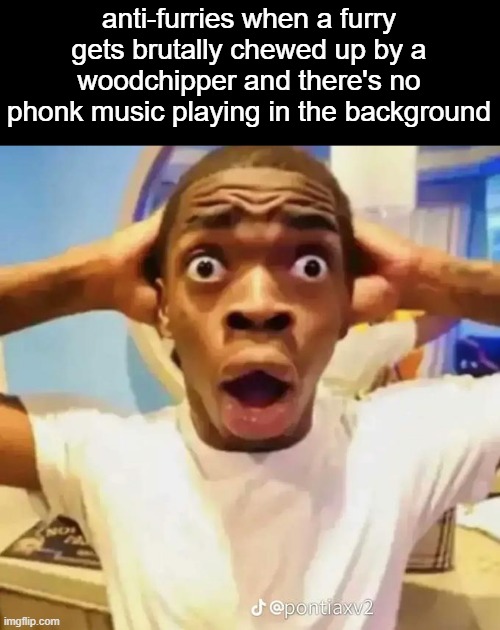 Shocked black guy | anti-furries when a furry gets brutally chewed up by a woodchipper and there's no phonk music playing in the background | image tagged in shocked black guy | made w/ Imgflip meme maker