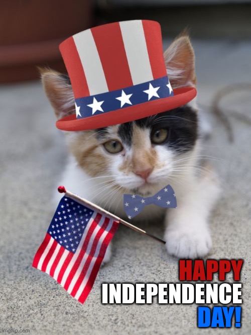 Happy Independence Day to all the cats out there… | HAPPY; INDEPENDENCE; DAY! | image tagged in cats,independence day,red white and blue | made w/ Imgflip meme maker