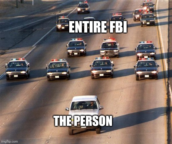 OJ Simpson Police Chase | THE PERSON ENTIRE FBI | image tagged in oj simpson police chase | made w/ Imgflip meme maker
