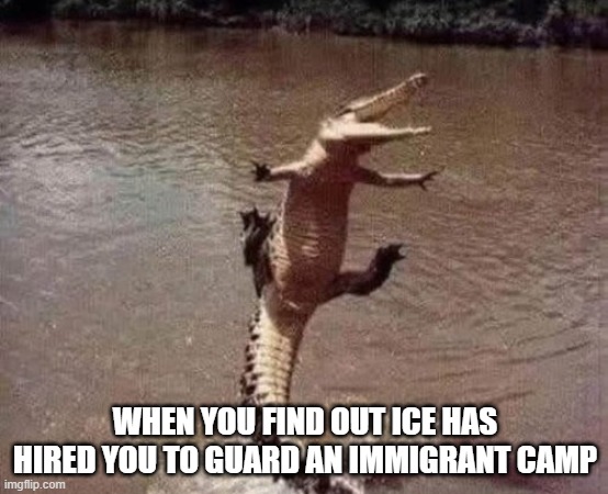 Yippee Gator | WHEN YOU FIND OUT ICE HAS HIRED YOU TO GUARD AN IMMIGRANT CAMP | image tagged in politics,ice | made w/ Imgflip meme maker