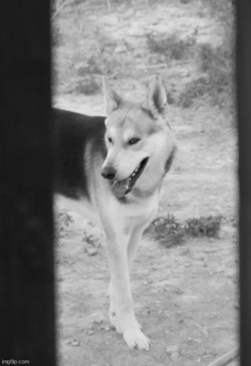 Sneaky side eye | image tagged in sneaky side eye | made w/ Imgflip meme maker