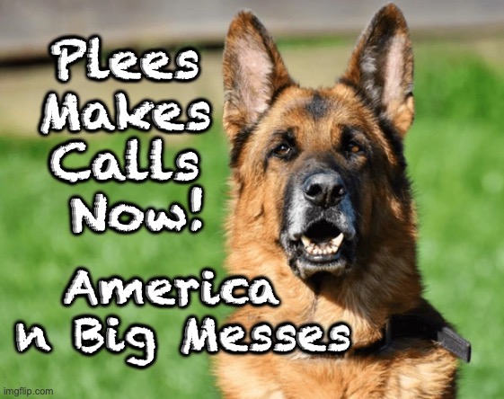 GSD Makes Call | Plees 
Makes 
Calls 
Now! America 
n Big Messes | image tagged in gsd call,america in mess | made w/ Imgflip meme maker