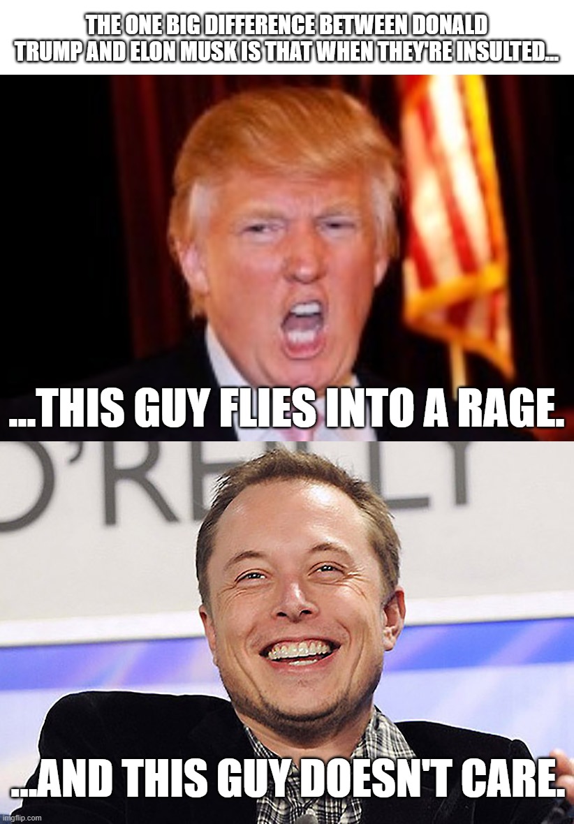 Surely we can all agree on this one. | THE ONE BIG DIFFERENCE BETWEEN DONALD TRUMP AND ELON MUSK IS THAT WHEN THEY'RE INSULTED... ...THIS GUY FLIES INTO A RAGE. ...AND THIS GUY DOESN'T CARE. | image tagged in donald trump,elon musk | made w/ Imgflip meme maker