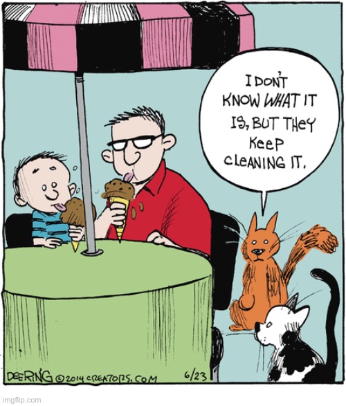 We all “scream” for it… | image tagged in cats,comics,humans,ice cream,licking | made w/ Imgflip meme maker