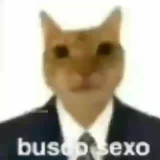 High Quality Busco sexo Blank Meme Template