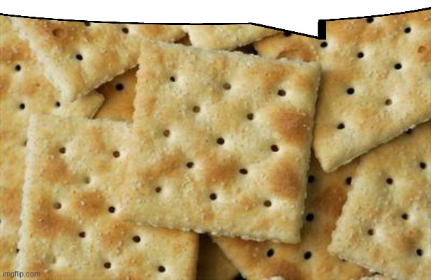 Crackers | image tagged in crackers | made w/ Imgflip meme maker