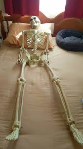 Skelly bed Blank Meme Template