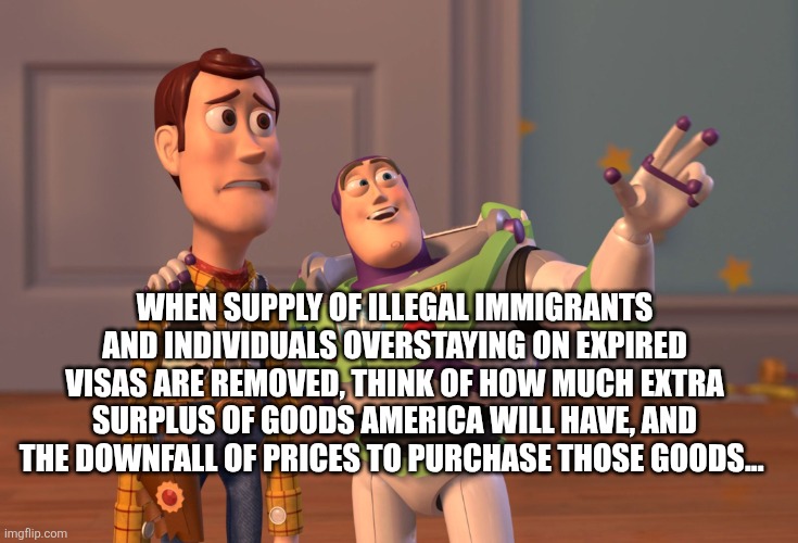 X, X Everywhere Meme | WHEN SUPPLY OF ILLEGAL IMMIGRANTS AND INDIVIDUALS OVERSTAYING ON EXPIRED VISAS ARE REMOVED, THINK OF HOW MUCH EXTRA SURPLUS OF GOODS AMERICA WILL HAVE, AND THE DOWNFALL OF PRICES TO PURCHASE THOSE GOODS... | image tagged in memes,x x everywhere | made w/ Imgflip meme maker