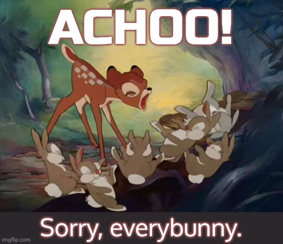 Powerful sneeze. | ACHOO! Sorry, everybunny. | image tagged in bambi screm,disney,movie | made w/ Imgflip meme maker