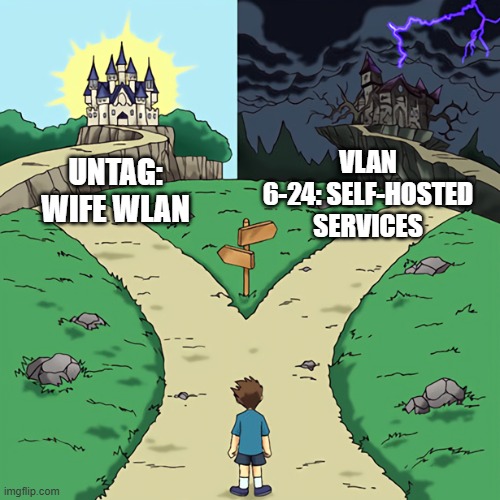 Good vs Evil Path | VLAN 6-24: SELF-HOSTED SERVICES; UNTAG: WIFE WLAN | image tagged in good vs evil path | made w/ Imgflip meme maker