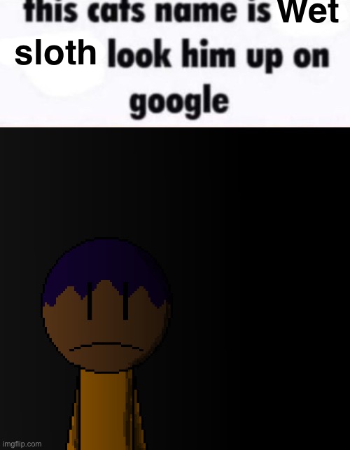 Wet; sloth | image tagged in this cats name is x look him up on google,brother | made w/ Imgflip meme maker