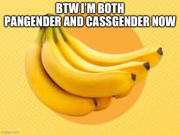 Banananana | BTW I’M BOTH PANGENDER AND CASSGENDER NOW | image tagged in spangles | made w/ Imgflip meme maker