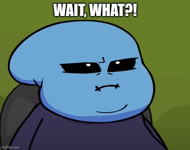 Quiz | WAIT, WHAT?! | image tagged in quiz | made w/ Imgflip meme maker