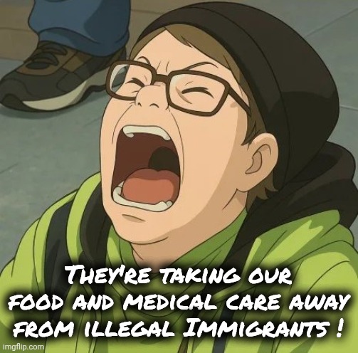 Looney Toons Liberals | They're taking our food and medical care away from illegal Immigrants ! | image tagged in looney toons liberals | made w/ Imgflip meme maker