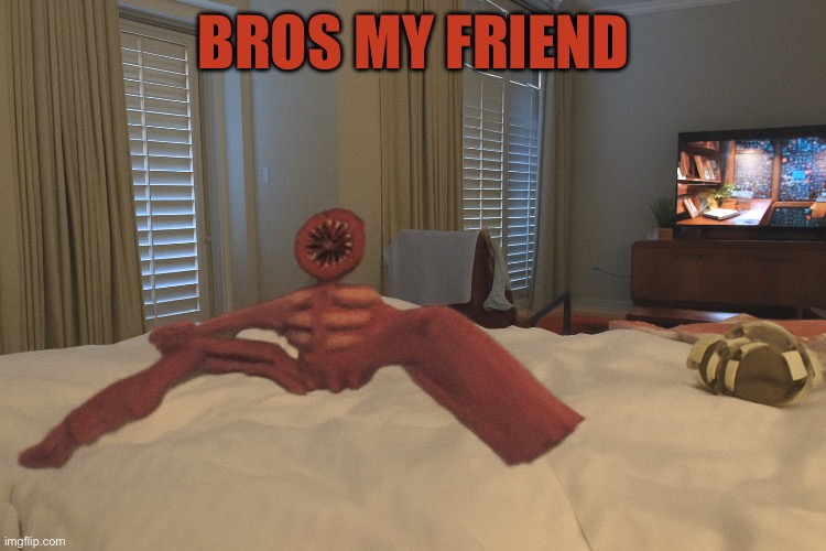 Figure meme | BROS MY FRIEND | image tagged in memes | made w/ Imgflip meme maker