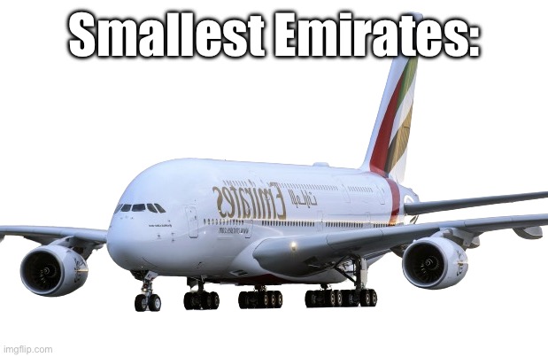 Emirates Airbus A380 | Smallest Emirates: | image tagged in emirates airbus a380 | made w/ Imgflip meme maker