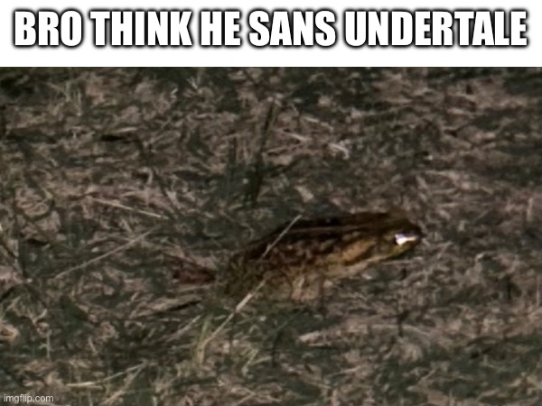 BRO THINK HE SANS UNDERTALE | made w/ Imgflip meme maker