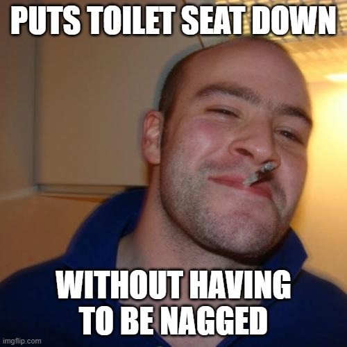 Good Guy Greg | PUTS TOILET SEAT DOWN; WITHOUT HAVING TO BE NAGGED | image tagged in memes,good guy greg,toilet seat,courtesy | made w/ Imgflip meme maker