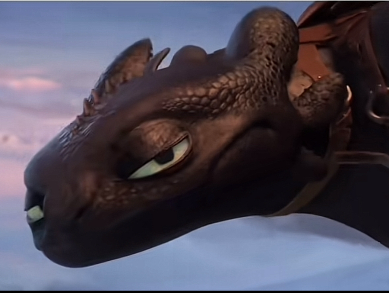 Smug toothless Blank Meme Template