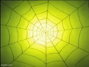 9zash3.gif