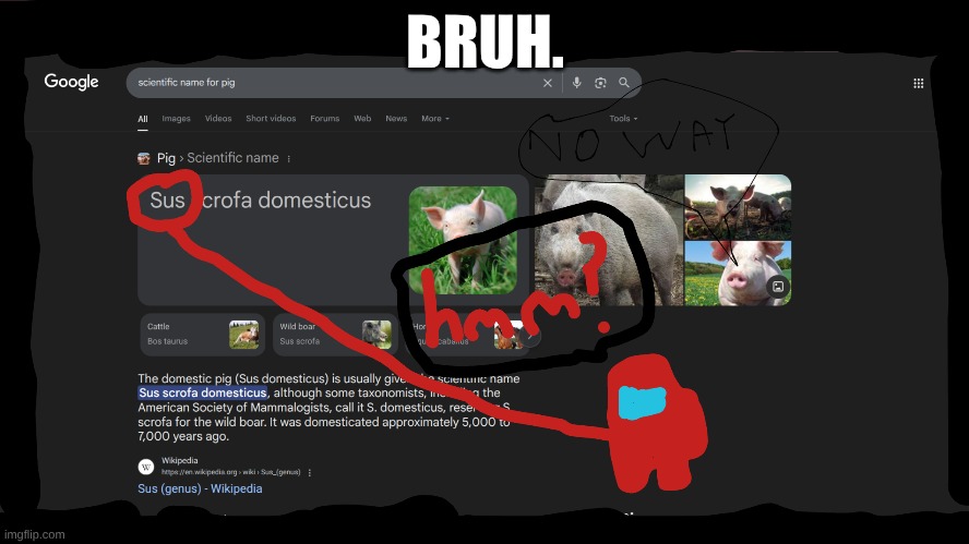 So I seen a meme regarding this and i tried it out. It works. | BRUH. | image tagged in sus scrofa domesticus,sus,susy baka,sussy,pig | made w/ Imgflip meme maker