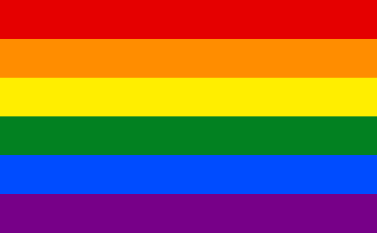 gay pride flag Blank Meme Template