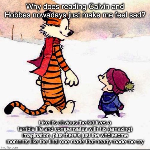 Honestly the best newspaper funny to exist | Why does reading Calvin and Hobbes nowadays just make me feel sad? Like it’s obvious the kid lives a terrible life and compensates with his (amazing) imagination, plus there’s just the wholesome moments like the final one made that nearly made me cry | image tagged in calvin and hobbs | made w/ Imgflip meme maker