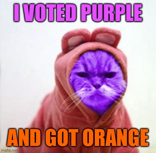 Sullen RayCat | I VOTED PURPLE; AND GOT ORANGE | image tagged in sullen raycat | made w/ Imgflip meme maker