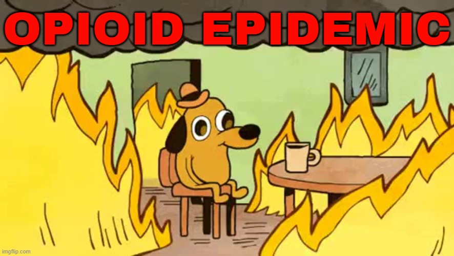 Opioid Epidemic | OPIOID EPIDEMIC | image tagged in everythings-fine,health,drugs,drugs are bad,donald trump,mexico | made w/ Imgflip meme maker