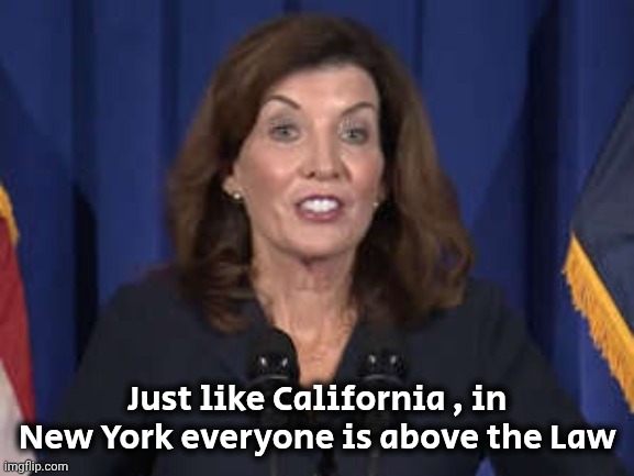 Kathy Hochul | Just like California , in New York everyone is above the Law | image tagged in kathy hochul | made w/ Imgflip meme maker