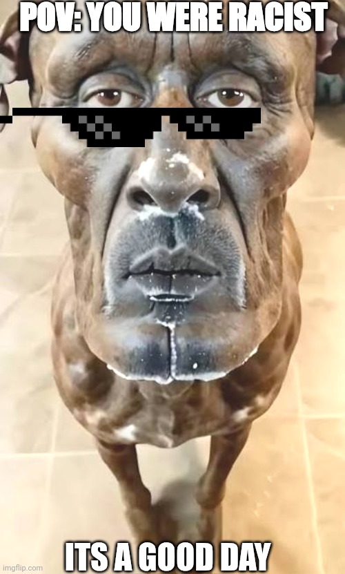 Just a meme | POV: YOU WERE RACIST; ITS A GOOD DAY | image tagged in few people will understand,this image is not intended to bully | made w/ Imgflip meme maker