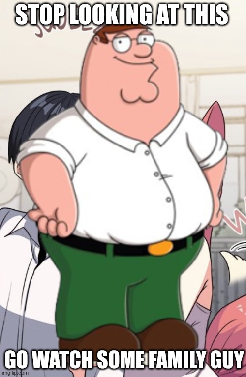 good ending | STOP LOOKING AT THIS; GO WATCH SOME FAMILY GUY | made w/ Imgflip meme maker