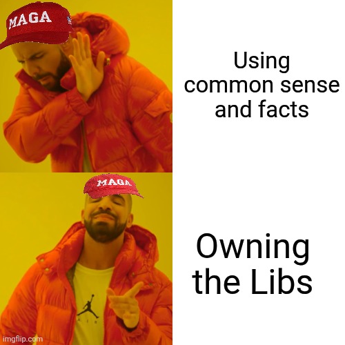 Drake Hotline Bling Meme | Using common sense and facts Owning the Libs | image tagged in memes,drake hotline bling | made w/ Imgflip meme maker