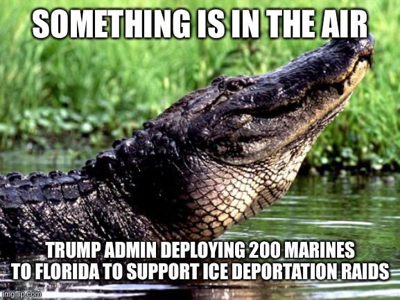 Alligator Alcatraz nearing competition | SOMETHING IS IN THE AIR; TRUMP ADMIN DEPLOYING 200 MARINES TO FLORIDA TO SUPPORT ICE DEPORTATION RAIDS | image tagged in alligator | made w/ Imgflip meme maker