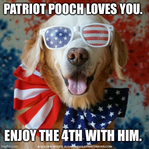 Don’t screw the pooch | PATRIOT POOCH LOVES YOU. ENJOY THE 4TH WITH HIM. | image tagged in 4th of july dog | made w/ Imgflip meme maker