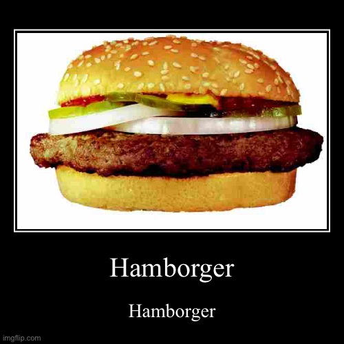 Hamborger | Hamborger | image tagged in funny,demotivationals | made w/ Imgflip demotivational maker