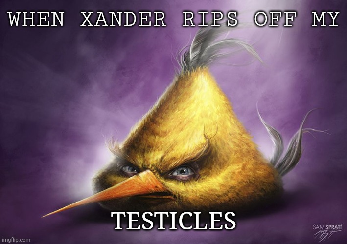 Realistic yellow angry bird | WHEN XANDER RIPS OFF MY; TESTICLES | image tagged in realistic yellow angry bird | made w/ Imgflip meme maker