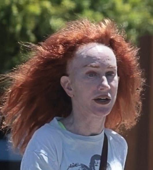 Kathy Griffin Blank Meme Template