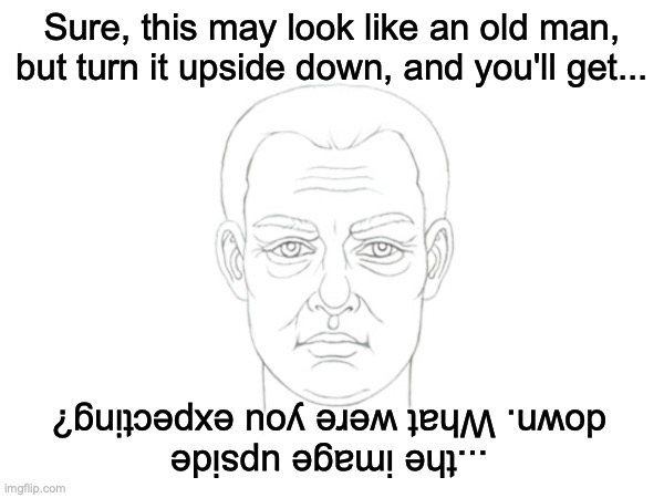 Cool illusion | Sure, this may look like an old man, but turn it upside down, and you'll get... ...the image upside down. What were you expecting? | image tagged in optical illusion,funny,upside-down | made w/ Imgflip meme maker