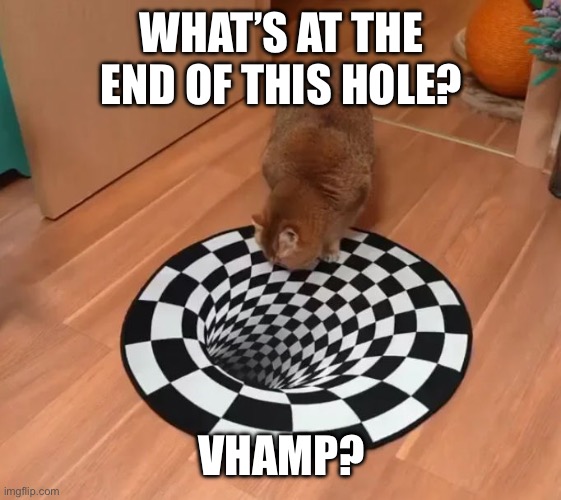 F is at the bottom of the hole | WHAT’S AT THE END OF THIS HOLE? VHAMP? | image tagged in a cat staring at an optical illusion,vhamp | made w/ Imgflip meme maker