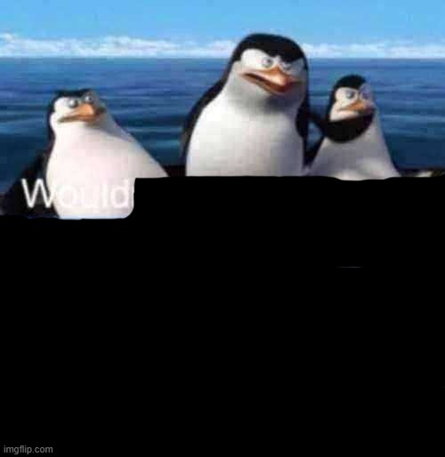 Wouldn't that make you terrorist? | image tagged in wouldn't that make you terrorist | made w/ Imgflip meme maker
