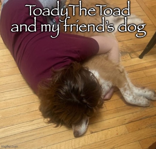 She wanted me to post this for some reason | ToadyTheToad and my friend’s dog | made w/ Imgflip meme maker