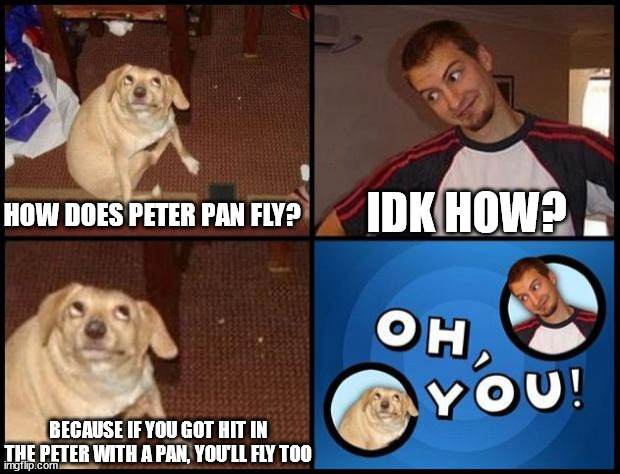 Oh You | IDK HOW? HOW DOES PETER PAN FLY? BECAUSE IF YOU GOT HIT IN THE PETER WITH A PAN, YOU'LL FLY TOO | image tagged in oh you | made w/ Imgflip meme maker