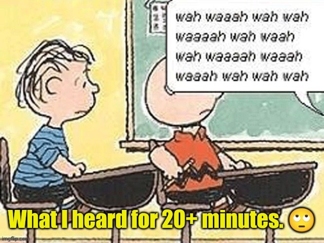 Charlie Brown teacher | What I heard for 20+ minutes. ? | image tagged in charlie brown teacher | made w/ Imgflip meme maker