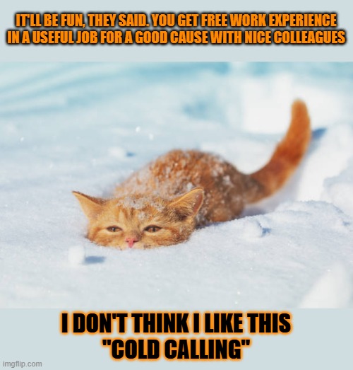 This #lolcat wonders what's the fun of 'cold calling' | IT'LL BE FUN, THEY SAID. YOU GET FREE WORK EXPERIENCE IN A USEFUL JOB FOR A GOOD CAUSE WITH NICE COLLEAGUES; I DON'T THINK I LIKE THIS
"COLD CALLING" | image tagged in cold weather,phone call,charity,lolcat,work sucks | made w/ Imgflip meme maker