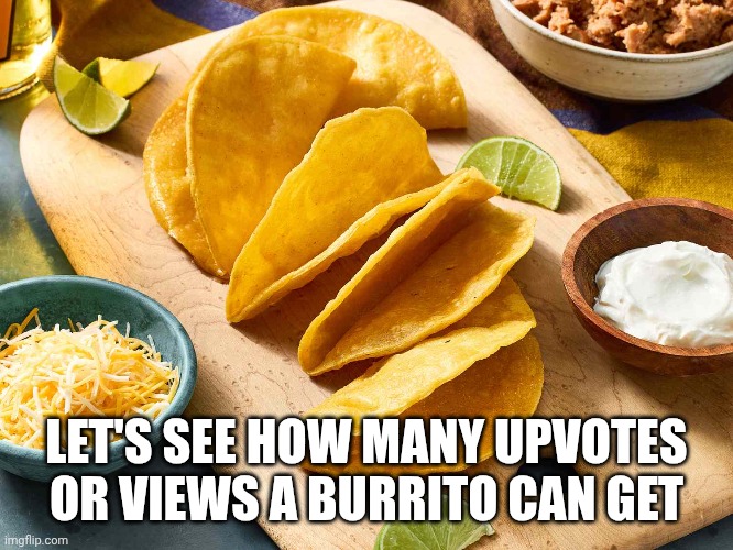 Buritto | LET'S SEE HOW MANY UPVOTES OR VIEWS A BURRITO CAN GET | image tagged in burrito | made w/ Imgflip meme maker