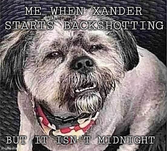 Xander | ME WHEN XANDER STARTS BACKSHOTTING; BUT IT ISN'T MIDNIGHT | image tagged in confused dog,memes,backshot | made w/ Imgflip meme maker
